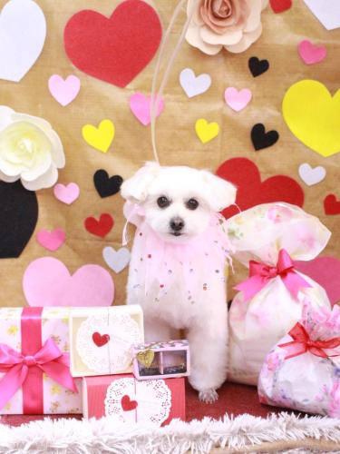 20230225うみちゃん